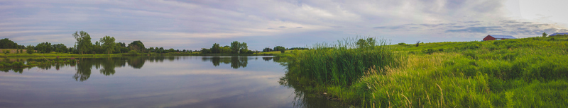 Peck Lake - David Jennings